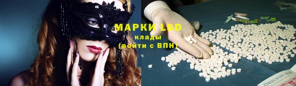 мяу мяу мука Баксан