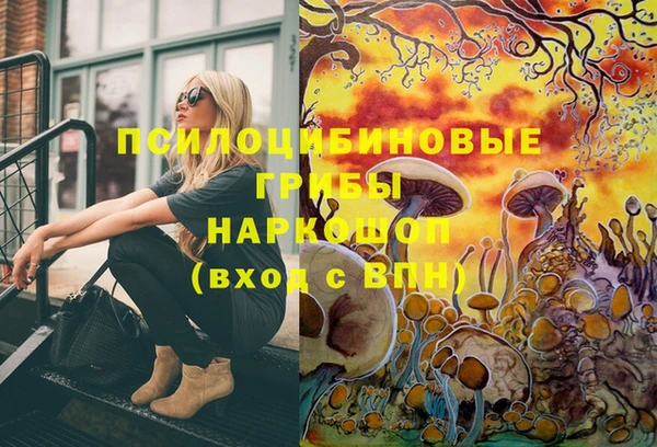 Альфа ПВП Балабаново