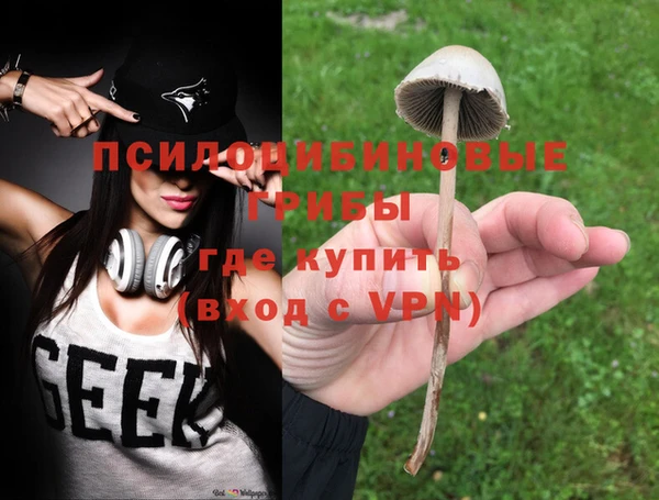 Альфа ПВП Балабаново