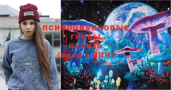 мяу мяу мука Баксан
