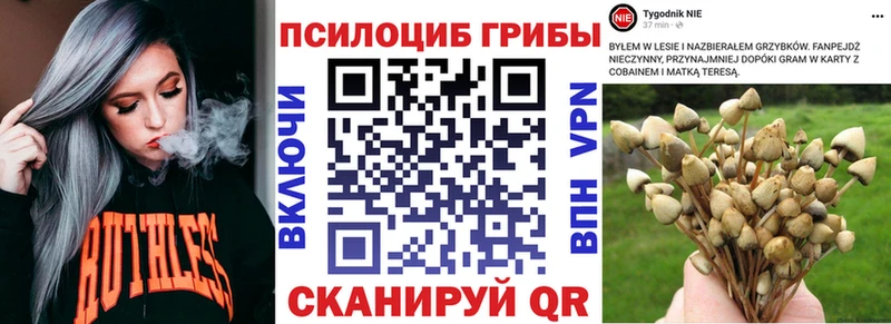 Псилоцибиновые грибы Psilocybine cubensis Верхняя Пышма