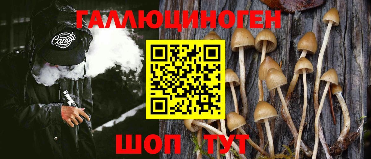 Псилоцибиновые грибы MAGIC MUSHROOMS  Верхняя Пышма 