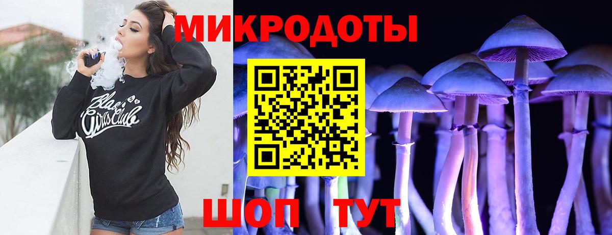 Галлюциногенные грибы прущие грибы Верхняя Пышма